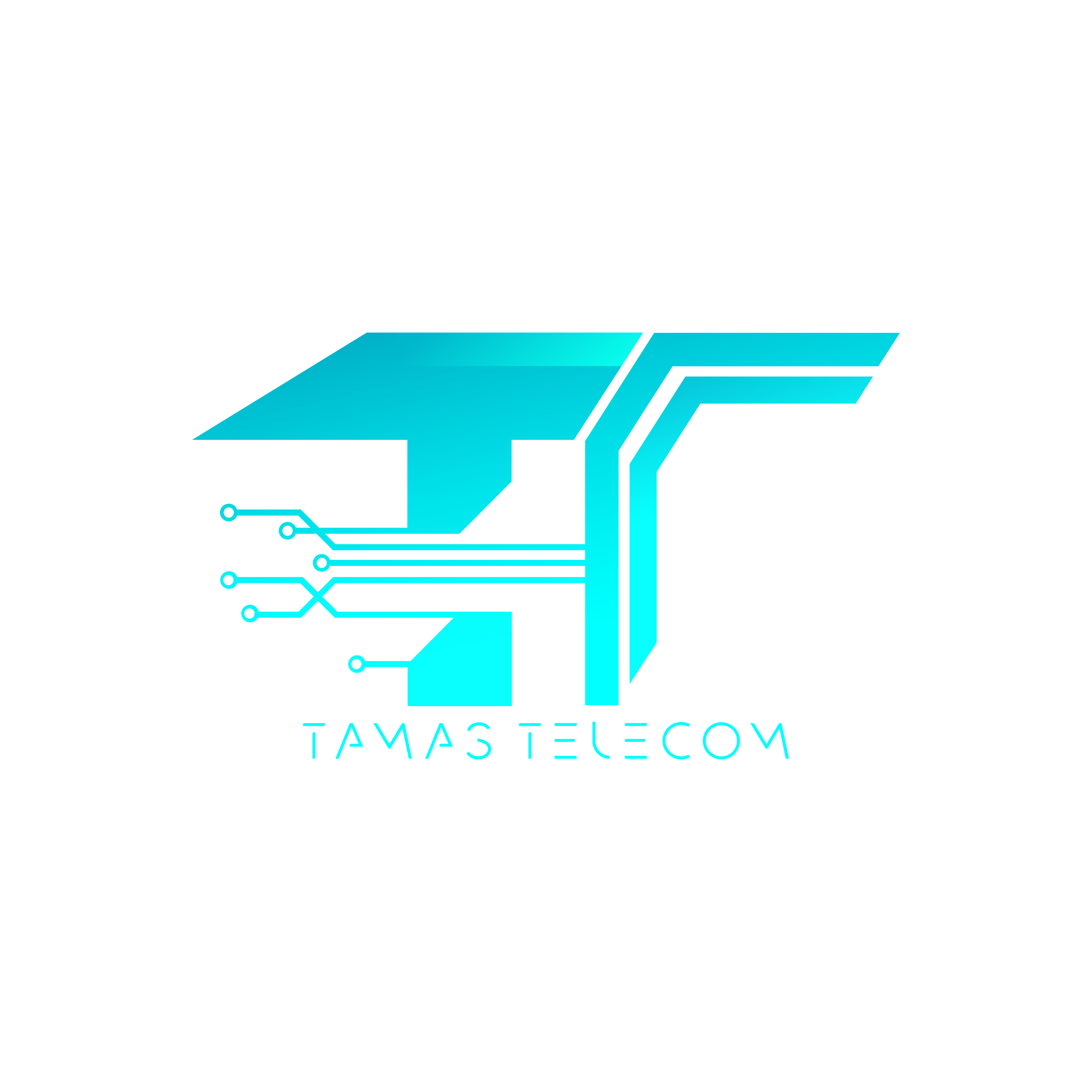 Tamas Telecom Hero